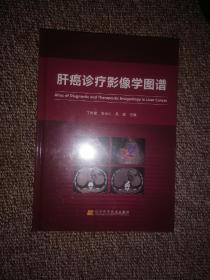 肝癌诊疗影像学图谱