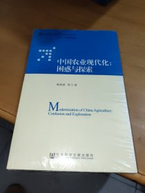 传统农区工业化与社会转型丛书·中国农业现代化：困惑与探索