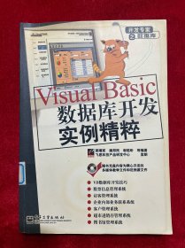 Visual Basic数据库开发实例精粹——开发专家之数据库