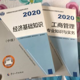 经济师中级2020 经济基础知识和工商管理（中级）2020 中国人事出版社