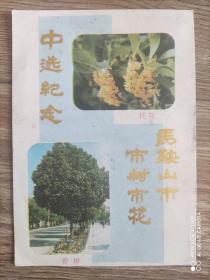 马鞍山市 市树市花 中选纪念 卡片  32开  1987年版