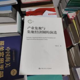 产业集聚与集聚经济圈的演进（国家社科基金后期资助项目）