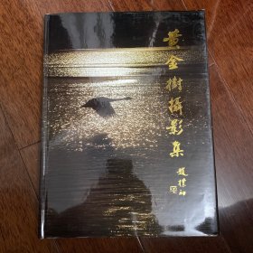 黄金树摄影集（带函套）