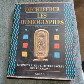 dechiffrer les hieroglyphes（精装）全彩图