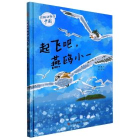 起飞吧燕鸥小一(精)/珍稀动物在中国 青岛 9787573601742 秌秋|责编:刘蕾//张佳琳|绘画:苏打