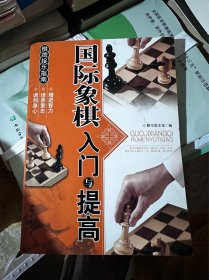 棋牌娱乐指南：国际象棋入门与提高