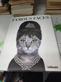 Famous Faces（精装）