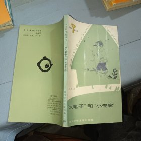 小图书馆丛书 大电子和小专家