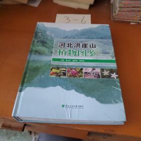 河北红崖山植物图鉴