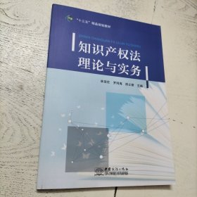 知识产权法理论与实务