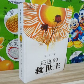 遥远的救世主