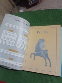 NUOVI PERCORSI NELLA STORIA （1,2册）历史上的新发现