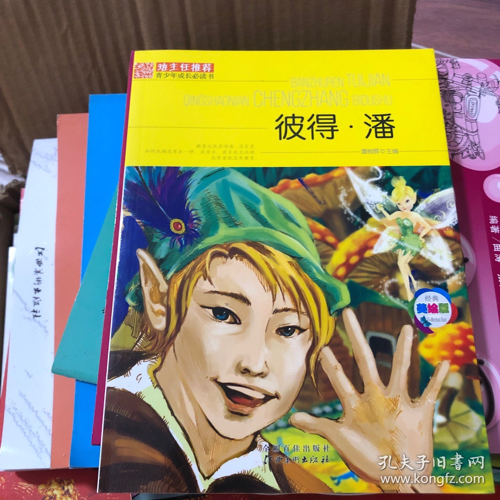 班主任推荐·青少年成长必读书：彼得·潘（经典美绘版）