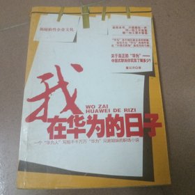 我在华为的日子