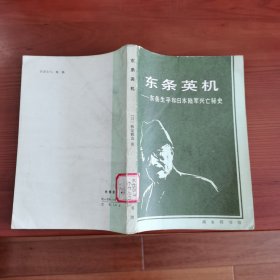 东条英机：东条生平和日本陆军兴亡秘史