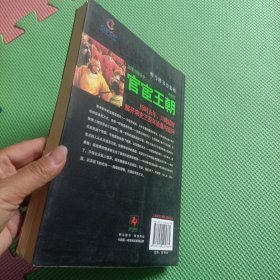 官宦王朝：如果这是宋史 南宋卷