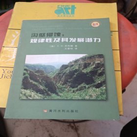 沟壑侵蚀：规律性及其发展潜力