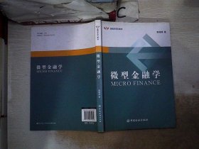 微型金融学/金融学系列教材