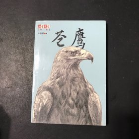 《儿童文学》伴侣——苍鹰