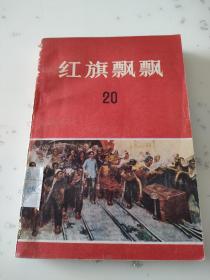 红旗飘飘（20）