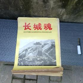 长城魂 纪念中国抗日战争胜利50周年展览挂图（46张）