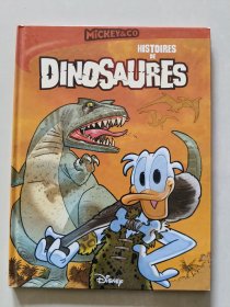 HISTOIRES DE DINOSAURES 法文原版 少儿彩色连环卡通漫画 精装大16开