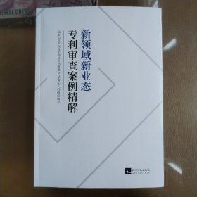 新领域新业态专利审查案例精解