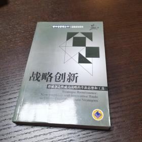 战略创新：形成创造性成功战略的革新思想和工具