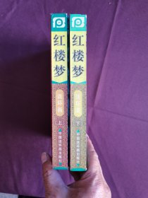 红楼梦上下册精装绘画版