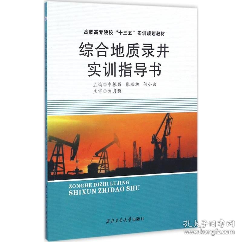 综合地质录井实训指导书