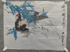 杨玉剛 花鸟精品一副（带上款保真出售）