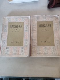 俄国短篇小说选 上下