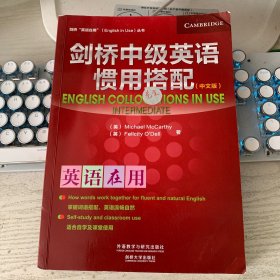 剑桥中级英语惯用搭配(中文版)(剑桥英语在用丛书)