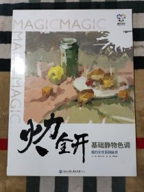 火力全开 基础静物色调（魔方文化系列丛书）