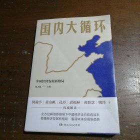 国内大循环(何毅亭、黄奇帆、孔丹、迟福林、姚洋、黄群慧等撰文)