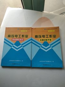 高压电工作业安全理论知识+高压电工作业实操训练手册