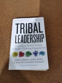 Tribal Leadership: Leveraging Natural Groups to Build a Thriving Organization