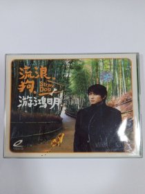 歌曲VCD：游鸿明流浪狗 2ⅤCD 多单合并邮费