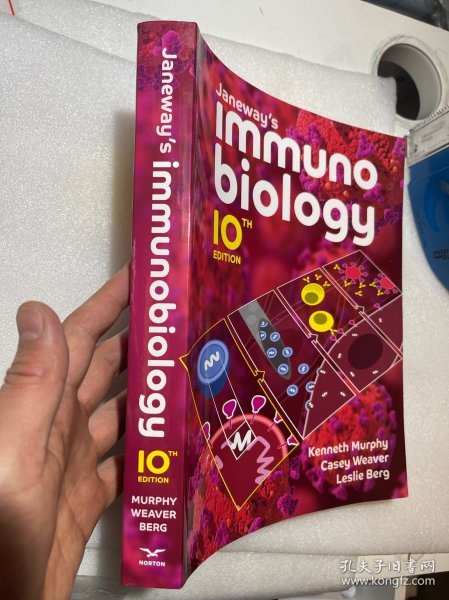 现货 Janeway's Immunobiology  10e  英文原版 免疫生物学 詹韦  Charles A. Janeway  Janeways Immunobiology