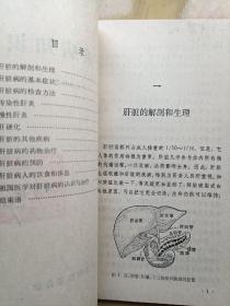 肝脏病知识