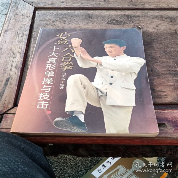 心意六合拳：十大真形单操与技击