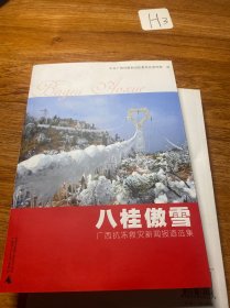 八桂傲雪:广西抗冻救灾新闻报道选集