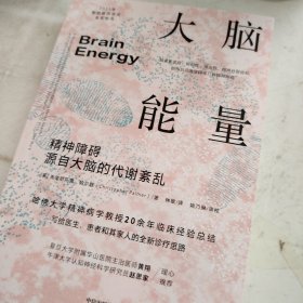 大脑能量