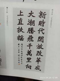 名家书画珍藏集   广州新时代影音公司成立八周年纪念书画册