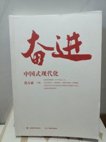 奋进中国式现代化