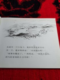 信谊绘本世界精选图画书：逃家小兔