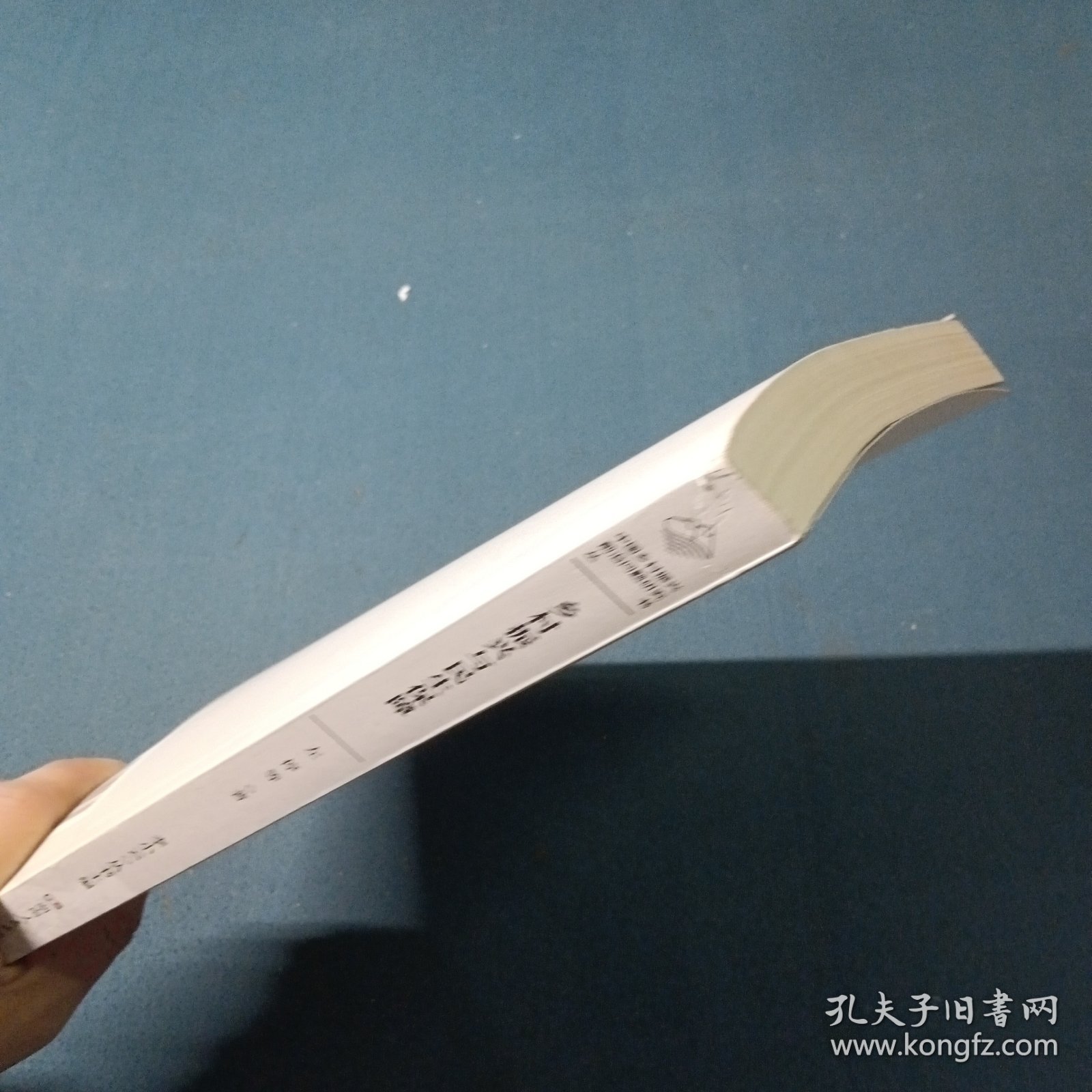 全新正版图书 乡村振兴与民生保障