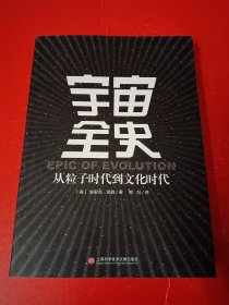 宇宙全史：从粒子时代到文化时代