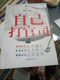 自己打官司