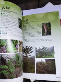 云台山木本植物图鉴